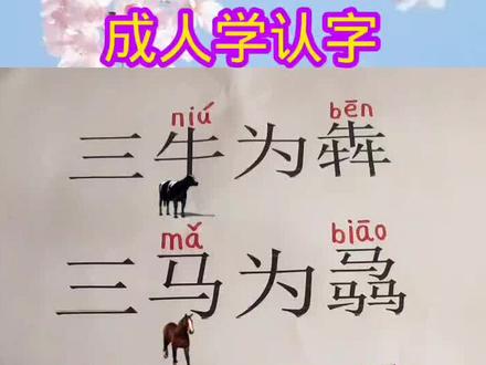 #教育 #涨知识 #扫盲 #每天学习一点点 #知识分享 #学习 #抖音小助手 成人学习机会来了