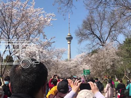 玉渊潭有几个门?从哪个门进会最方便?