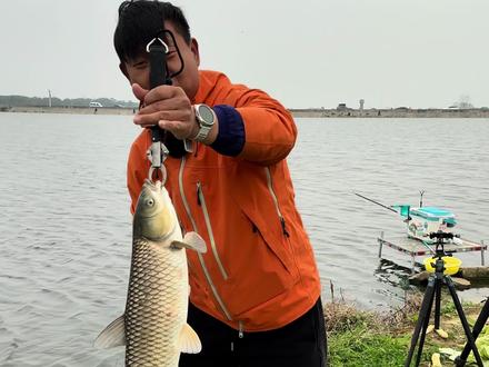 一场春风遍地花香 水库里的草鱼也开始传递春天的信号了#钓鱼的乐趣只有钓鱼人懂 #钓鱼 #钓鱼人