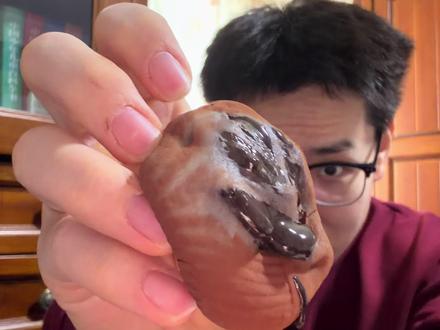 上行斋黑巧口味测评来啦 #上行斋 #抖音美食创作人 #vlog十亿流量扶持计划 #巧克力 #满级吃商通关赛