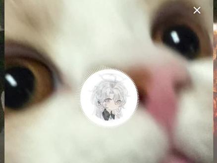 超级可爱的小狗,超级萌的山药宝宝
#R山药#回响