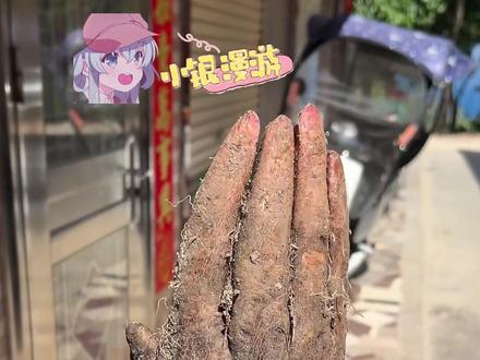 san值狂掉#山药 #万万没想到 #佛手山药