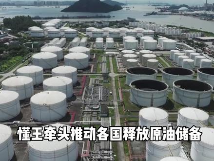 全球能源慌成一片,中国稳如泰山,这才是真正的战略远见 #财经 #金融 #国际新闻 #能源安全 #石油