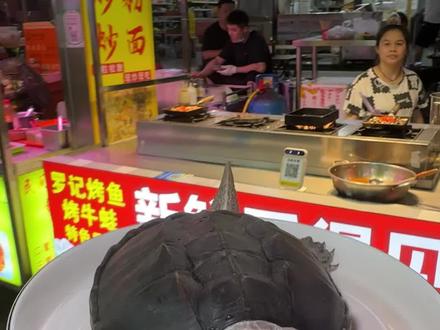 鳄龟肉初尝试,没想到比甲鱼还好吃 #美食 #人间烟火 #第一视角 #鳄龟 #雷诺双子星手表