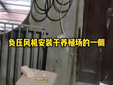 #鸡鸭鹅养殖 #养鸡 #养殖 #养殖场专用 #养猪人 养殖场通风换气使用负压风机。