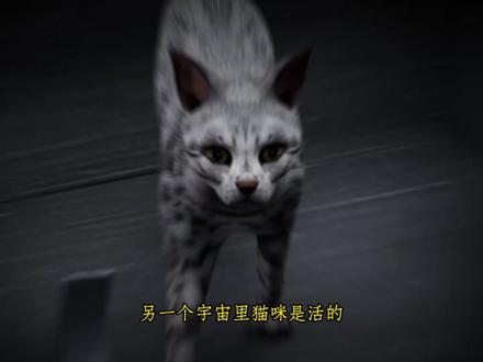 量子力学与薛定谔的猫:一场关于现实本质的探索 #高质量科普视频 #探索宇宙奥秘 #探索宇宙未解之谜 #宇宙探索 #哄睡