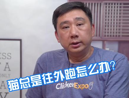 猫总是往外跑怎么办 #猫 #宠物 #萌宠出道计划