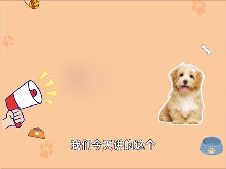 肝胆损伤、胆泥淤积,用对方法好的快! #老年犬 #养宠进阶指南 #宠物生活