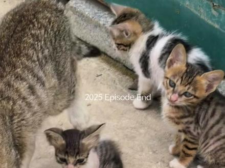 2025剧终#2025年度回顾 #清空相册 #2026
时钟敲碎最后一秒,2025在灰烬中落下帷幕。这场早已写定的终章,从文明点燃第一簇火时便埋下伏笔——科技的狂欢透支着天地,欲望的藤蔓缠绕着宿命,正如预言中必然到来的终局。
我们都是这场大戏的主演,带着与生俱来的使命登场。有人以血肉之躯筑牢防线,有人用信念对抗沉沦,如同诸神黄昏中明知结局仍拔剑的战士。当最后一盏灯熄灭,自动化的城市在火中呜咽,那些坚守与牺牲并非徒劳,它们是文明留给宇宙的璀璨印记。
2025剧终,不是毁灭的句号,而是重生的序章。旧世界的碎片里,藏着新生的密码;落幕的掌声中,回响着使命的余韵。我们以终局为献祭,用宿命的重量淬炼出不朽的精神,正如凤凰浴火,在灰烬之上,新的文明正循着使命的微光,悄然生长。