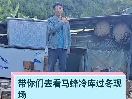 蜂王冷库过冬现场#抖音小助手#十年养蜂路
