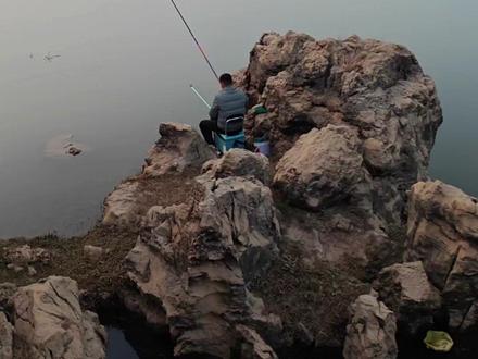 野钓鲤鱼的黄金地点#爱生活爱钓鱼 #创作者中心 #创作灵感 #钓鱼 #户外