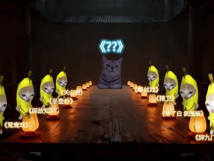 《音乐的误闯天家》
#猫meme