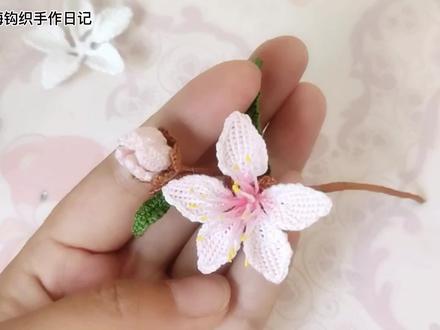 桃花发簪小花包视频教程 #手工diy #手工 #微钩 #钩织教程 #钩针教程 #我的手工作品 #手作 #发饰 #汉服配饰 #簪娘