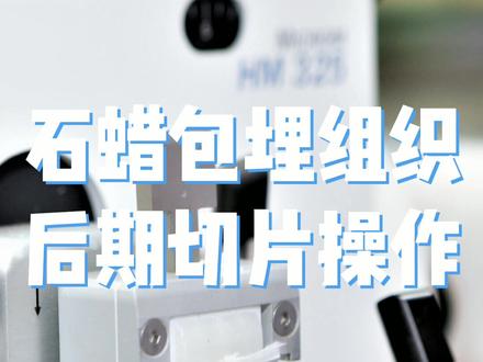 石蜡包埋组织切片现场,挺解压的!#实验室日常 #石蜡切片#实验
