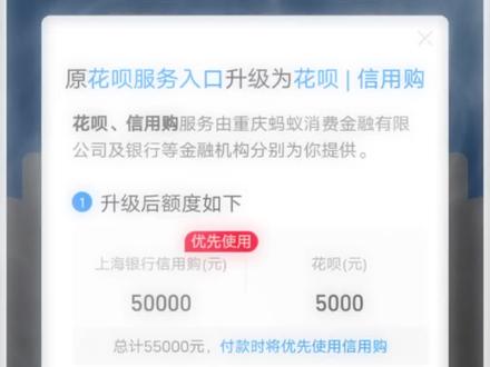 #支付宝,#花呗!提示我升级了!不敢动呀,到底升还是不升呀