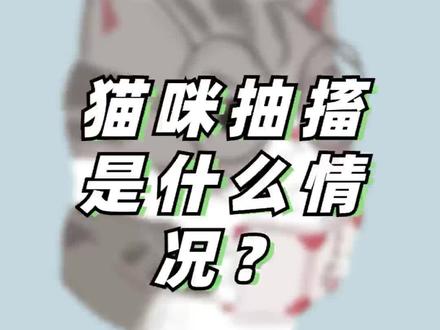 猫咪抽搐是什么情况?#铲屎官的乐趣 #动物的迷惑行为 #家有萌宠 #猫咪的迷惑行为 #家有傻猫 #记录猫咪日常