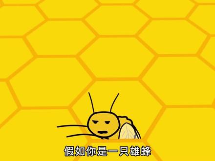 假如你是一只蜜蜂...... #动物科普 #蜜蜂