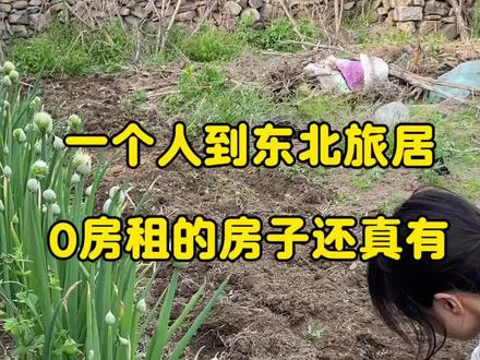 一个人到东北旅居,0房租的房子为何不租?