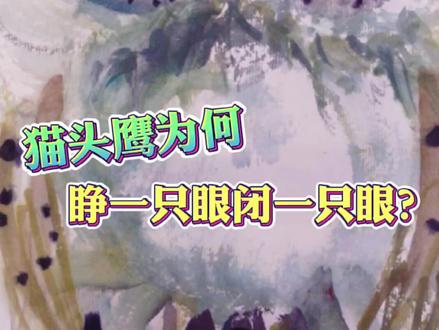 为什么猫头鹰睁一只眼闭一只眼?#收藏 #鉴赏 #黄永玉 #名家字画 #艺术品收藏