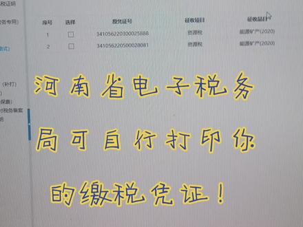 自行打印缴税凭证的流程!很简单!你学会了吗?
