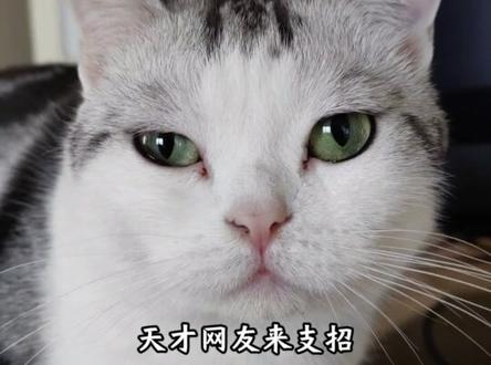 绘画界八大邪修 #绘画 #邪修 #胖虎眼 #抽象