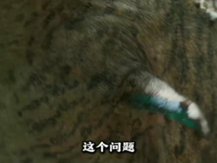 前段素材来源:@酷哥看世界