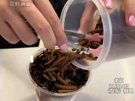 #蟑螂咖啡 火了,40元一杯,你敢喝吗?#咖啡