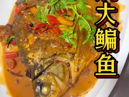 #美食教程 #家常菜 #红烧鱼 #鳊鱼 #煎鱼 学会这个菜 走到哪里工资随便谈!