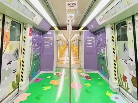 昆明地铁四号线“瓦猫天团”来啦!#昆明