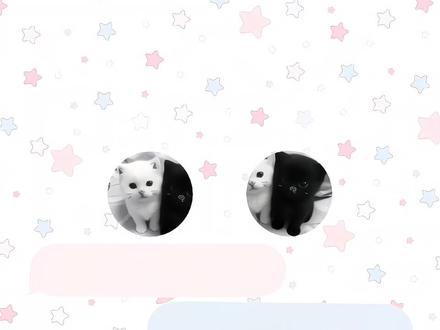 《对方正在输入》6 #橹穆 #ooc致歉 #ai语音 #困恩#王橹杰穆祉丞