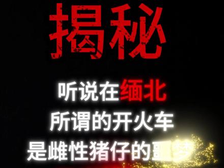 听说在缅北所谓的开火车是雌性猪仔的噩梦是真的吗? #网文 #小说 #缅北