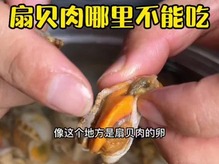 你们觉得扇贝肉黑色的胃囊能吃不?#海鲜原产地 #扇贝肉