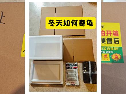 冬天如何快递乌龟?#别跟河套学养龟 #乌龟打包