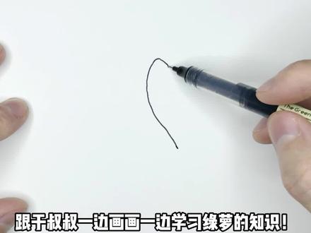 跟于叔叔画绿萝学知识 #简笔画 #零基础学画画 #儿童简笔画 #简笔画教程 #一起学画画 #创意简笔画 #亲子简笔画 #画画 #幼儿简笔画 #手绘