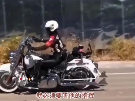 什么是安全官?#虎虎生威冠福气 @盟主安全官