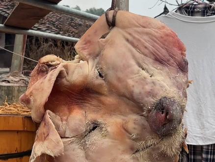 董事长们做的麦芽糖特别好吃,麦芽糖这个词只有小时候在书上听说过#农村生活vlog日常 #创作者中心 #创作灵感 #我的农村生活 #乡村美食季