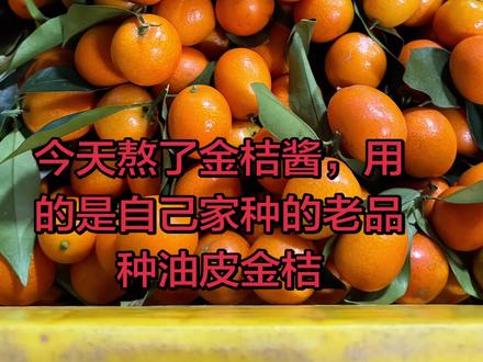 #金桔酱 #金桔酱教程 #疏肝解郁理气 金桔酱,超级推荐大家熬起来,个人觉得比柚子酱好吃,柚子酱甘苦,金桔酱一点都不苦,好香,甘甜香,金桔味超浓郁。