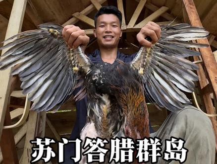 苏门答腊群岛 #户外 #原创视频 #野外建造 #荒岛生存