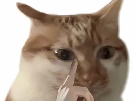 这价格友商看了要连夜改PPT!#红米turbo5获小米10亿内存补贴 #魏思琪称红米turbo5将普及大内存