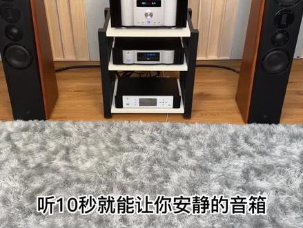 听10秒就能让你安静的音箱!#惠威音响 #音响设备 #惠威 #发烧hifi #抖音921好物节