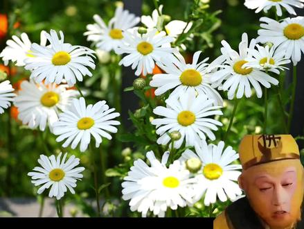 超简单的水滴扩散教程 0基础小白可轻松学会,今天猴哥带你学习最近很火的水滴扩散效果#剪辑 #剪辑教程 #水滴扩散 #蒙版 #蒙版卡点