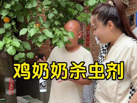 鸡奶奶杀虫剂,每瓶600毫升,直接到手四大瓶,还有两个喷头。有运费险,支持七天无理由,到家就能正装放心用。专灭苍蝇、蟑螂、蚂蚁、跳蚤,家用养殖都合适。@吕虎舅舅(渠宝) #鸡奶奶#好用不贵经济实惠#好物分享#好物推荐#超便宜超划算