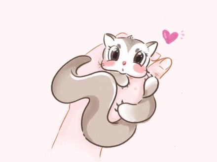 零基础插画~今天画个蜜袋鼯~你学废了吗?#零基础学画画 #procreate绘画 #可爱小动物绘画教程 #萌宠 #插画