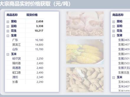 使用矩阵表显示大宗商品市场行情 补充知识点:使用示例添加表、SELECTEDVALUE函数
视频涉及的网页数据源
隆众资讯:https://ncp.oilchem.net/ncp/Corn.shtml
东方财富期货:http://quote.eastmoney.com/center/gridlist2.html#futures_114_1
案例文件百度网盘下载链接:https://pan.baidu.com/s/1SWhRfehIFB6VY2UPCKjajA?pwd=1234
提取码:1234
视频笔记下载链接(笔记会随着视频的更新而更新):
https://pan.baidu.com/s/1uooW3gh3J7ga4pDMp7G1Uw?pwd=1234
提取码:1234
#PowerBI #数据分析 #大宗商品 #期货 #市场行情