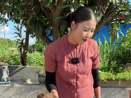 小花家的竹鼠竟然要集体中暑了,小花结果是怎样处理的尼#竹鼠养殖 #乡村守护人 #我的乡村生活 #新农人计划2025