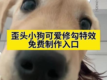 可爱修勾特效教程,歪头小狗特效教程,金毛特效入口,可爱修勾特效,歪头小狗特效,歪头小狗,歪头小狗教程,可爱修勾,狗狗特效宠物专用,狗狗主人换脸特效,狗狗主人换脸,拉布拉多特效,狗头特效,可爱修狗特效,可爱修勾遮脸特效,快来抽一只可爱修勾特效,怎么拍狗狗照片,歪头小狗怎么画,歪头小狗表情包,可爱小狗,可爱小狗特效,拉布拉多特效5.0,拉布拉多特效恶搞,拉布拉多特效狗头,主人和狗狗换脸特效,狗狗换脸特效教程,狗狗脸特效,金毛特效,金毛特效头发,金毛特效狗,金毛特效ai,金毛特效教程,金毛特效头特效,金毛特效创意,金毛特效怎么拍,金毛特效变脸,金毛特效誰用誰好看,当我用不同的特效吃东西,看到了现实版的爽歪歪小狗,全网最像人的狗,可爱金毛视频,把手伸到狗狗面前是什么反应,深情金毛,金毛自拍图,小金毛的样子,小金毛乖巧瞬间,撒娇小狗最好命,金毛,金毛的脸为什么白了,金毛萌犬图片,金毛宝宝可爱瞬间,可爱小狗,狗狗也是Kitty控吗#即梦ai #可爱修勾 #歪头小狗 #金毛特效 #金毛 ai特效,ai生成,ai特效一键生成,宠物特效,宠物ai,抖音ai创作
