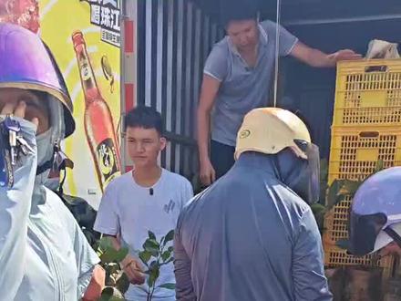 一直都想买几颗榴莲蜜菠萝来种 又怕没有买到正宗榴莲蜜果苗 刚好刷抖音又刷到阿富网红来农贸市场对面卖果苗 就马上去买了几颗回来种 在那里尝了几个榴莲蜜菠萝包超级好吃,又香又甜 感觉比榴莲还好吃 ,,,,,