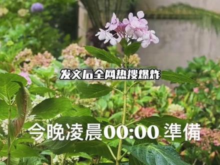 杰伦太阳之子全预告串烧#周杰伦 #8090后的回忆 #周杰伦新专辑 #周杰伦新歌 @抖音小助手