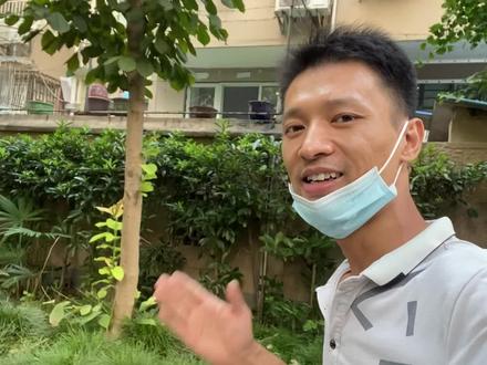 洗衣机能洗,不排水不脱水?很简单,自己就能修好 #家电维修 #洗衣机 #知识分享 #生活小窍门 #电工