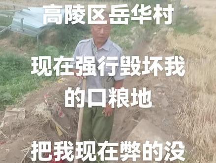 我是高陵区岳华村民现在我的土地被强行毁坏,我没法活了